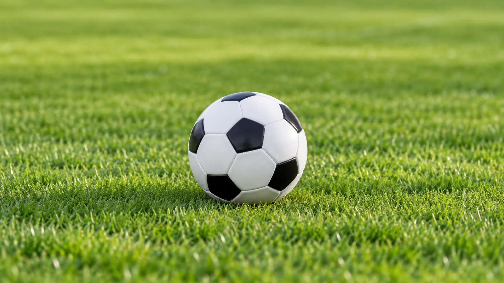 卡塔尔与韩国U19青年队激烈对抗争夺亚洲足球新星的荣耀与未来